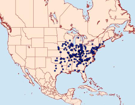 Distribution Data for Catocala vidua