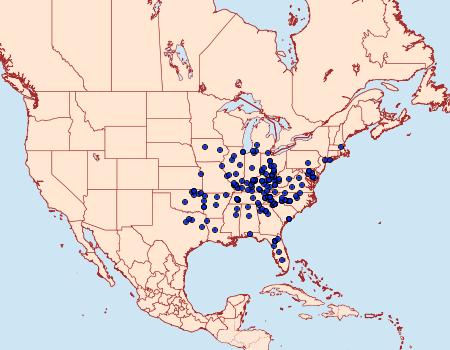 Distribution Data for Catocala lacrymosa