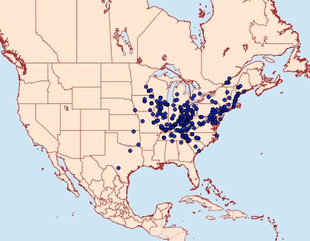 Distribution Data for Catocala palaeogama