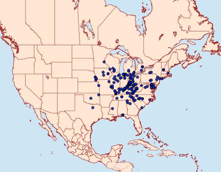 Distribution Data for Catocala nebulosa