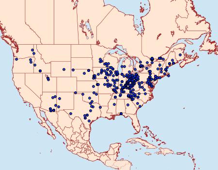 Distribution Data for Catocala neogama