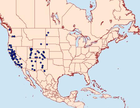 Distribution Data for Catocala aholibah