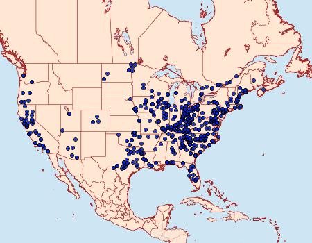 Distribution Data for Catocala ilia