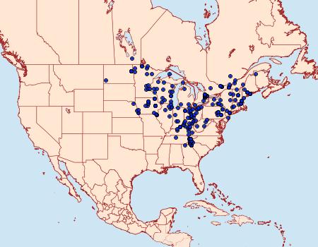 Distribution Data for Catocala cerogama