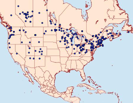 Distribution Data for Catocala relicta