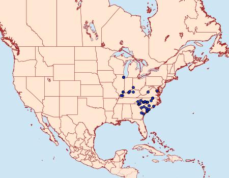 Distribution Data for Catocala marmorata