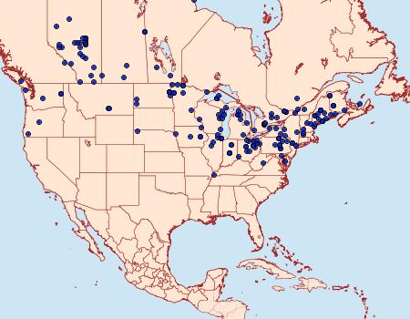 Distribution Data for Catocala unijuga