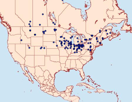 Distribution Data for Catocala parta