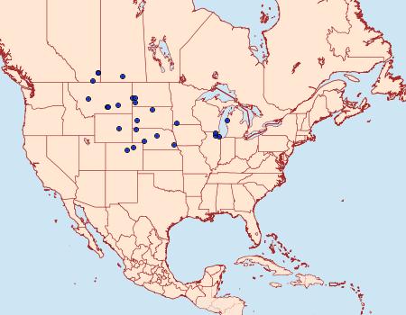 Distribution Data for Catocala luciana