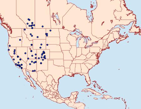 Distribution Data for Catocala hermia