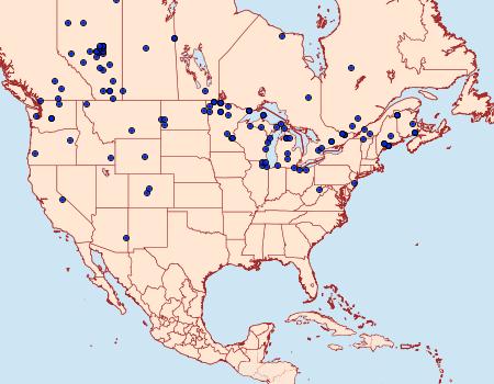 Distribution Data for Catocala briseis