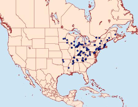 Distribution Data for Agonopterix robiniella