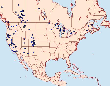 Distribution Data for Catocala semirelicta