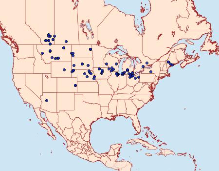 Distribution Data for Catocala meskei