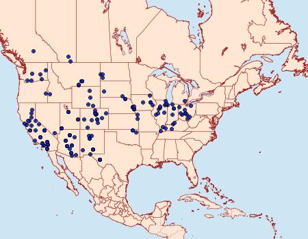 Distribution Data for Catocala junctura