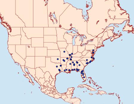 Distribution Data for Catocala carissima