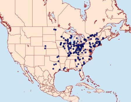 Distribution Data for Catocala cara