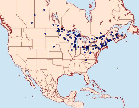 Distribution Data for Catocala concumbens