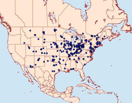 Distribution Data for Catocala amatrix