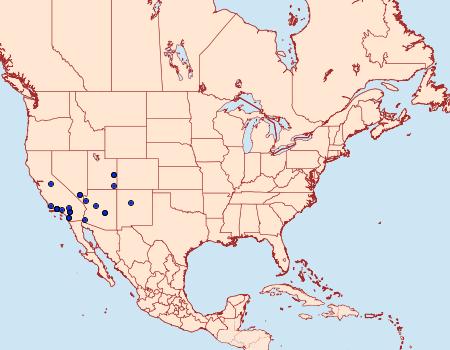 Distribution Data for Catocala benjamini