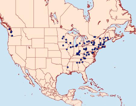 Distribution Data for Agonopterix thelmae