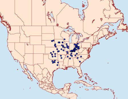 Distribution Data for Catocala illecta