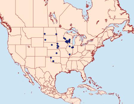 Distribution Data for Catocala abbreviatella