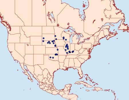 Distribution Data for Catocala nuptialis