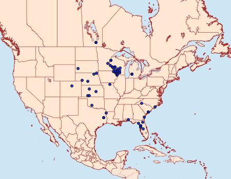 Distribution Data for Catocala amestris