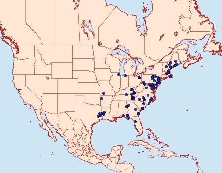 Distribution Data for Catocala gracilis