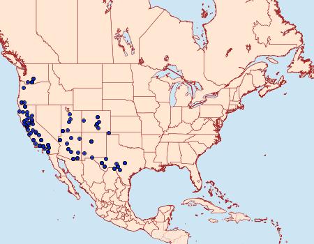 Distribution Data for Catocala verrilliana