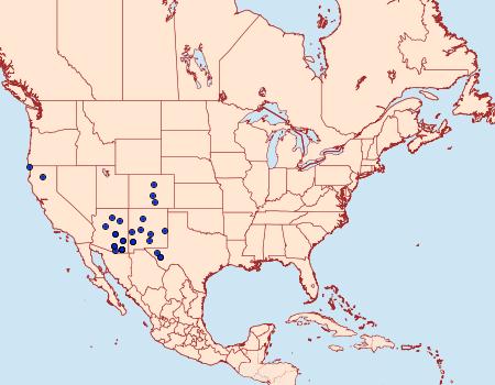 Distribution Data for Catocala violenta