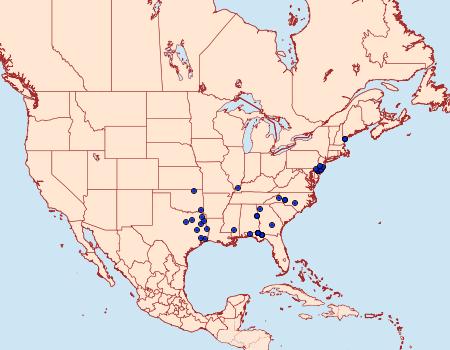 Distribution Data for Catocala pretiosa