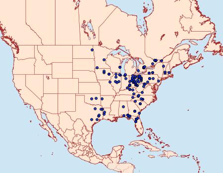 Distribution Data for Catocala mira