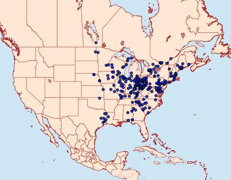 Distribution Data for Catocala grynea