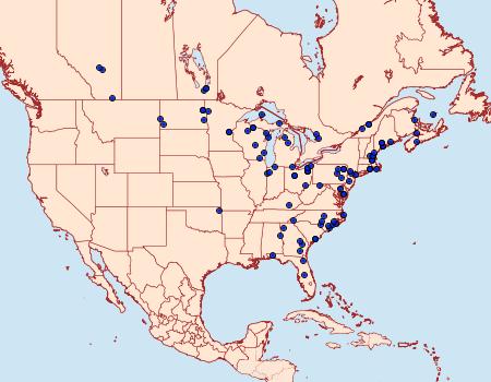 Distribution Data for Catocala praeclara