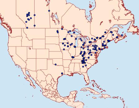 Distribution Data for Catocala blandula