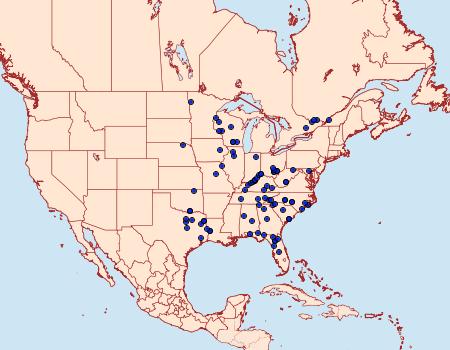 Distribution Data for Catocala clintonii