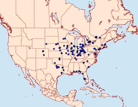 Distribution Data for Catocala minuta