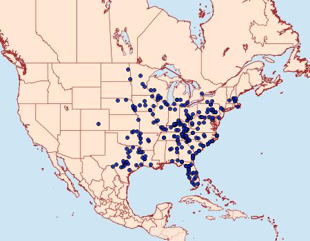 Distribution Data for Catocala micronympha