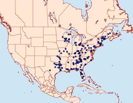 Distribution Data for Catocala connubialis