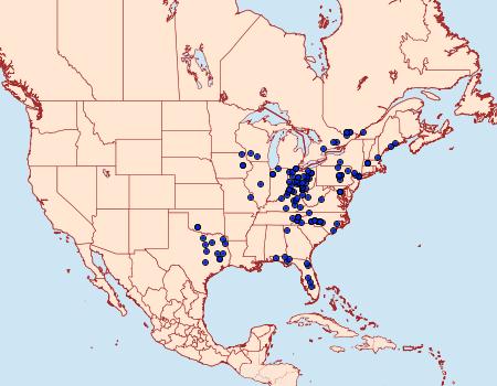 Distribution Data for Catocala lineella