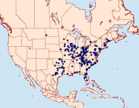 Distribution Data for Catocala amica