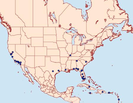 Distribution Data for Mouralia tinctoides