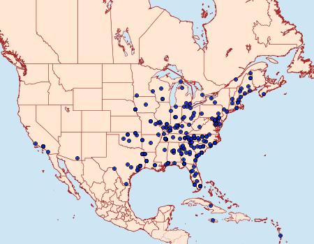 Distribution Data for Ctenoplusia oxygramma