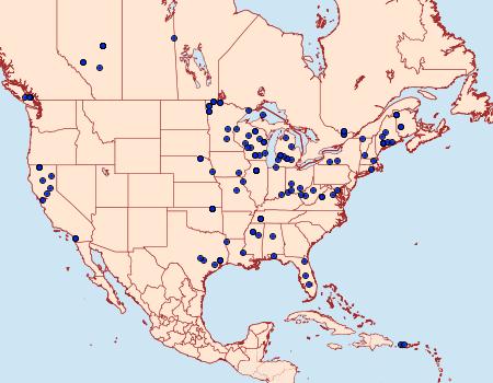 Distribution Data for Agonopterix argillacea