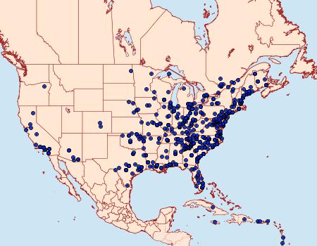 Distribution Data for Chrysodeixis includens