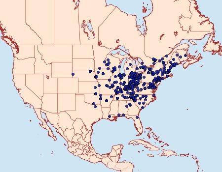 Distribution Data for Allagrapha aerea