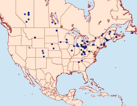 Distribution Data for Pseudeva purpurigera