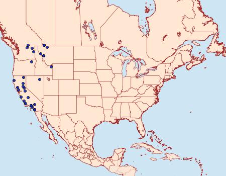 Distribution Data for Pseudeva palligera